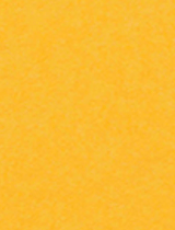 Keaykolour Indian Yellow 8 1/2 x 11 Text 32lb - 50/pk