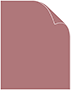 Riviera Rose Text 8 1/2 x 11 - 50/Pk