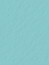 Tiffany Blue Text 8 1/2 x 11 - 50/Pk