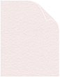 Rosa Arturo Text 8 1/2 x 11 - 50/Pk