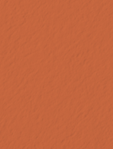 Colorplan Rust 8 1/2 x 11 - Text 91 lb. - 50/Pk