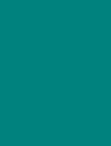 Colorplan Emerald (Bermuda) 8 1/2 x 11 - Text 91 lb. - 50/Pk