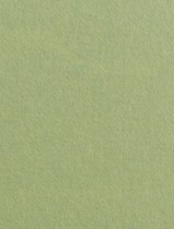 Gmund #03 Olive Green 8 1/2 x 11 Cover 111 lb - 25/pk