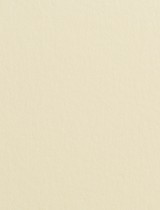 Gmund #07 Wedding Cream 11 x 17 Cover 111 lb - 25/pk