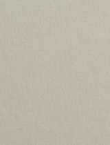 Gmund #25 Light Moss 11 x 17 Text 28 lb - 50/Pk