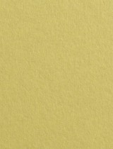 Gmund #28 Chartreuse 11 x 17 Cover 111 lb - 25/pk