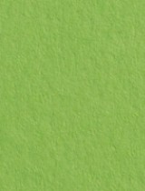 Gmund #32 Leaf Green 11 x 17 Text 28 lb - 50/Pk