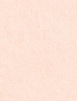 Gmund #71 Powder Pink 11 x 17 Text 32 lb - 50/Pk
