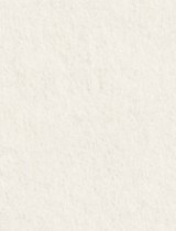 Gmund #72 Sea Grass 8.5 x 11 Text 32 lb - 50/Pk