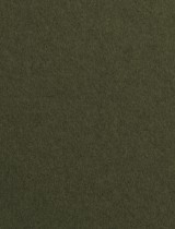 Gmund #88 Forest Green 11 x 17 Cover 111 lb - 25/pk