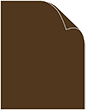 Plike Brown 8 1/2 x 11 Cover 25/pk