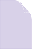 Purple Lace Matte Cover 11 x 17 - 25/Pk