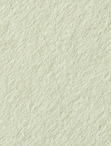 Colorplan Pistachio (Spring) 11 x 17 -  Cover 100 lb - 25/Pk