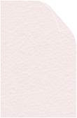 Rosa Arturo Cover 11 x 17 - 25/Pk