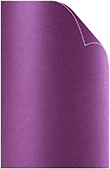 Purple Silk Cover 11 x 17 - 25/Pk