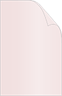 Blush Cover 11 x 17 - 25/Pk