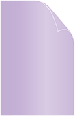 Violet Text 11 x 17 - 50/Pk