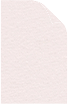 Rosa Arturo Text 11 x 17 - 50/Pk