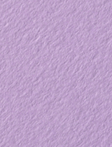 Purple Lace Text 11 x 17 - 50/Pk