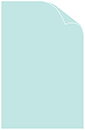 On Sale:Daffy Blue Cover 11 x 17<br>25/Pk