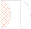 Casablanca Ginger Gate Fold Invitation Style C (5 1/4 x 7 1/4) - 10/Pk