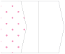 Polkadot Pink Gate Fold Invitation Style E (5 1/8 x 7 1/8) - 10/Pk