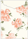 Peony Peach Jacket Invitation Style C2 (5 1/8 x 7 1/8) - 10/Pk