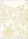 Rose Passion Jacket Invitation Style C2 (5 1/8 x 7 1/8) - 10/Pk