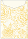 Rose Gold Jacket Invitation Style C2 (5 1/8 x 7 1/8) - 10/Pk