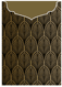 Glamour Bronze Jacket Invitation Style C2 (5 1/8 x 7 1/8) - 10/Pk