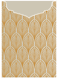 Glamour Gold Jacket Invitation Style C2 (5 1/8 x 7 1/8) - 10/Pk