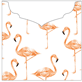 Flamingo Jacket Invitation Style C3 (5 5/8 x 5 5/8)