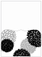 Aster Black Pocket Card 5 1/4 x 7 1/4 - 10/Pk