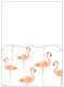Flamingo Pocket Card 5 1/4 x 7 1/4 - 10/Pk