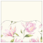 Magnolia OP Pocket Card 5 3/4 x 5 3/4 - 10/Pk