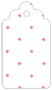 Polkadot Pink Style B Tag (2 1/2 x 4 1/2) 10/Pk