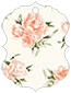 Peony Peach Style M Tag (3 x 4) 10/Pk