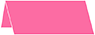 Raspberry Place Card 1 x 4 - 25/Pk
