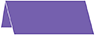 Amethyst Place Card 1 x 4 - 25/Pk