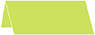 Citrus Green Place Card 1 x 4 - 25/Pk