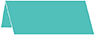 Fiji Place Card 1 x 4 - 25/Pk