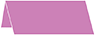 Plum Punch Place Card 1 x 4 - 25/Pk