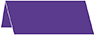 Indigo Place Card 1 x 4 - 25/Pk