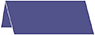 Sapphire Place Card 1 x 4 - 25/Pk