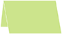 Pistachio Place Card 2 1/2 x 3 1/2 - 25/Pk