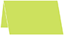 Citrus Green Place Card 2 1/2 x 3 1/2 - 25/Pk