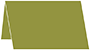 Olive Place Card 2 1/2 x 3 1/2 - 25/Pk