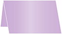 Violet Place Card 2 1/2 x 3 1/2 - 25/Pk