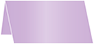 Violet Place Card 2 x 4 - 25/Pk