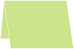 Pistachio Place Card 3 1/2 x 5 - 25/Pk